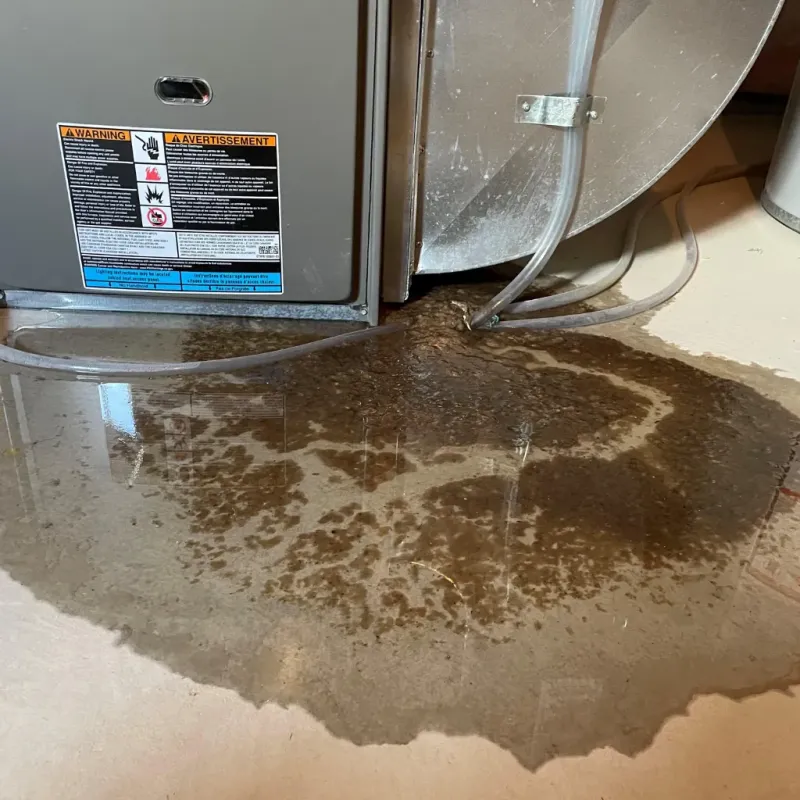 Appliance Leak Cleanup in Wilson, OK