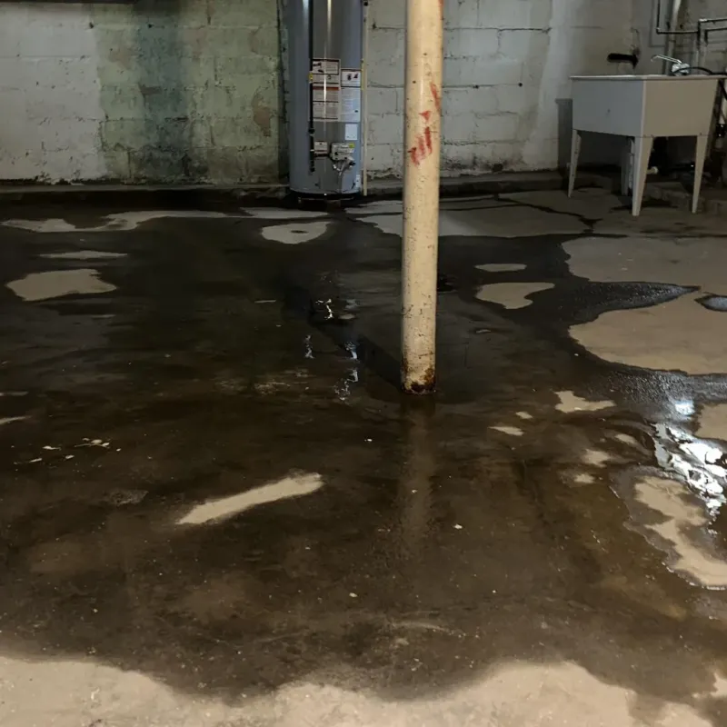 Emergency Water Extraction And Removal in Wilson, OK